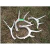 Image 1 : (4 pcs) Small Deer Sheds