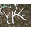 Image 2 : (4 pcs) Small Deer Sheds
