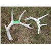 Image 3 : (4 pcs) Small Deer Sheds