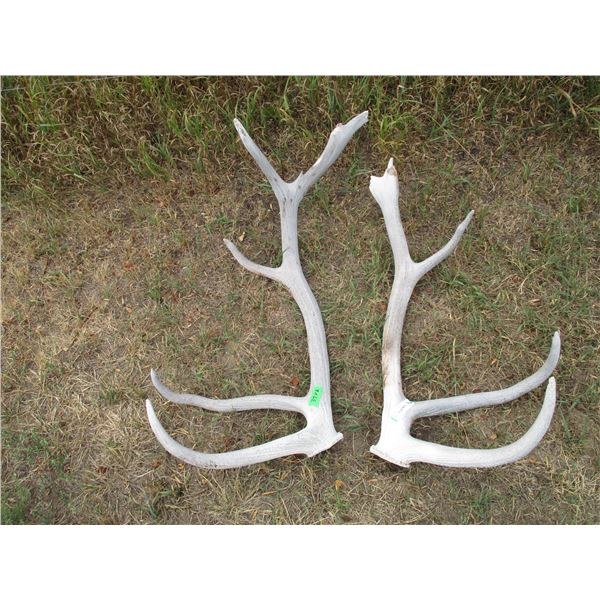 (2 pcs) Elk Sheds