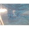 Image 8 : Bald Eagle Print (36"x44.5") Glass Has Crack in Top Left Corner - Gerald Wall Art