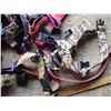 Image 4 : (40) Dog Collars of Varying Sizes & Styles