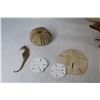 Image 5 : Wasp Nest - Puffer Fish - Stuffed Baby Alligator - Sea Shells - Star Fish