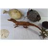 Image 6 : Wasp Nest - Puffer Fish - Stuffed Baby Alligator - Sea Shells - Star Fish
