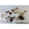Coral - Sea Shells - Pine Cones - Rocks