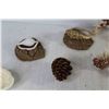 Image 3 : Coral - Sea Shells - Pine Cones - Rocks