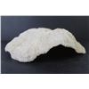 Image 3 : Large White Sea Shell/Coral?