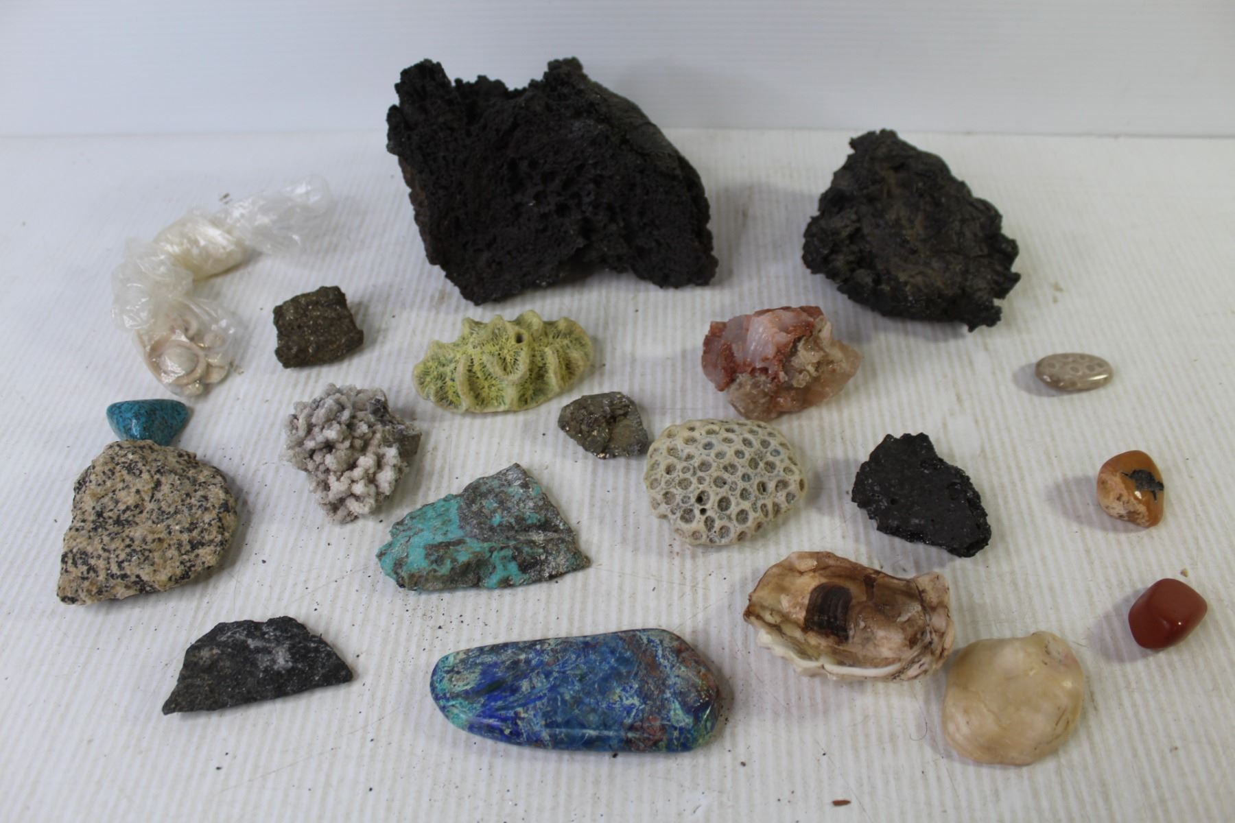 Special Rocks & Coral - Bodnarus Auctioneering
