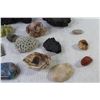 Image 11 : Special Rocks & Coral