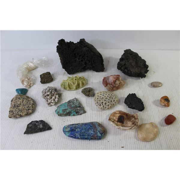 Special Rocks & Coral