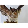 Image 2 : The Canadian Rockies Owl Ornament (feet are missing - chip on ear)