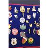 Image 6 : (2) Collector Boards of Military Pins