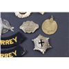 Image 3 : (10+) Military Pins & (7) Patches - Various
