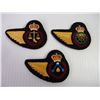 Image 3 : (10) RCAF Half Wing Trade Badges