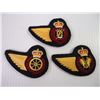 Image 4 : (10) RCAF Half Wing Trade Badges