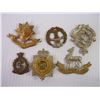 Image 4 : (19) Military Badges