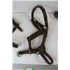 Image 3 : (3) Heavy Horse Leather Halters