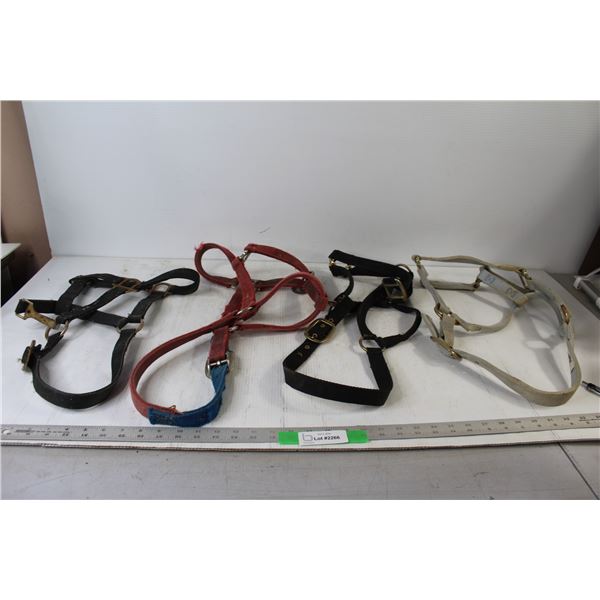 (4) Nylon Web Halters