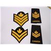 Image 2 : (12) Canadian Air Cadet Badges