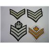 Image 3 : (12) Canadian Air Cadet Badges
