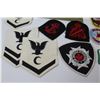 Image 4 : (11) Sew-on Patches Albany Fire Department - Pine Falls - Scarborough