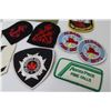 Image 5 : (11) Sew-on Patches Albany Fire Department - Pine Falls - Scarborough