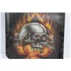 Image 3 : Holographic Framed Printed Skull 17'' x 13''