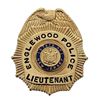 Image 1 : New Jersey Englewood Police Badge