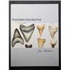 Image 1 : Rathbone: Pictorial Guide To Fossil Shark Teeth