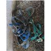 Image 2 : assorted horse tack