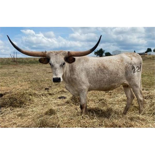 Bar F 221 Knockout Berries