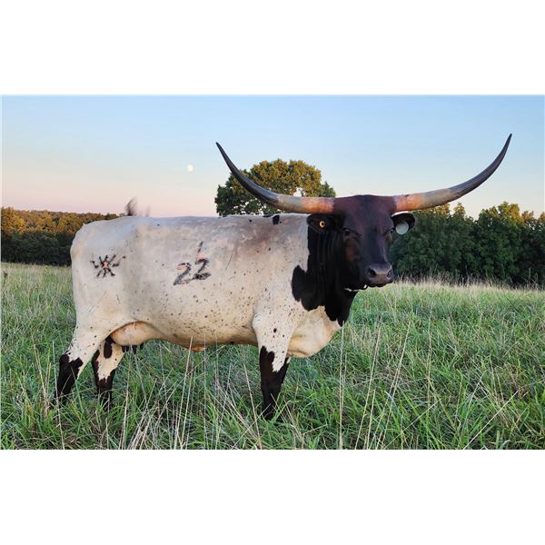 BCK Titan's Love Spell