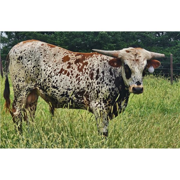 EF 50/50 Rain Chance