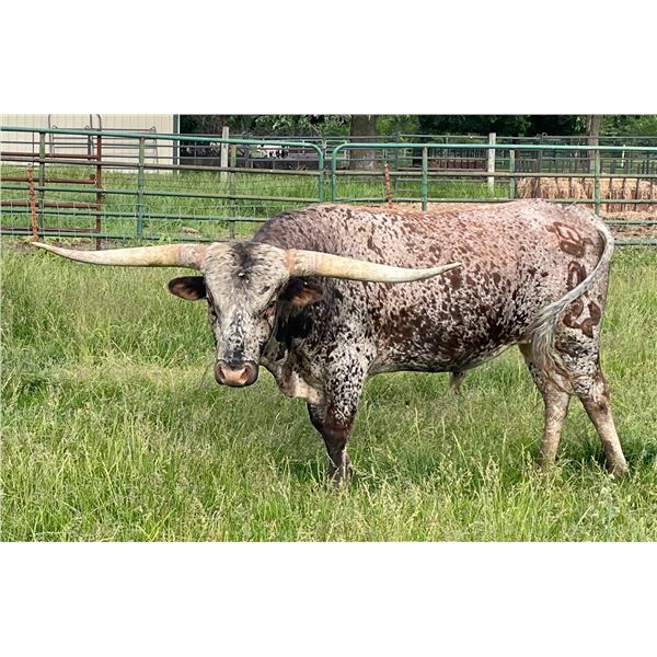 MIDWEST DIAMOND RUSH