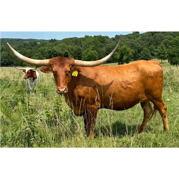 RCC Strawberry Field