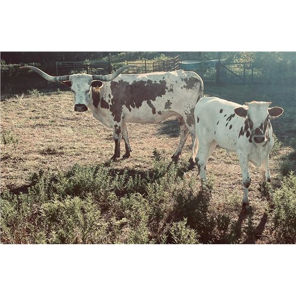 RM Touch 'O Fire PAT 828