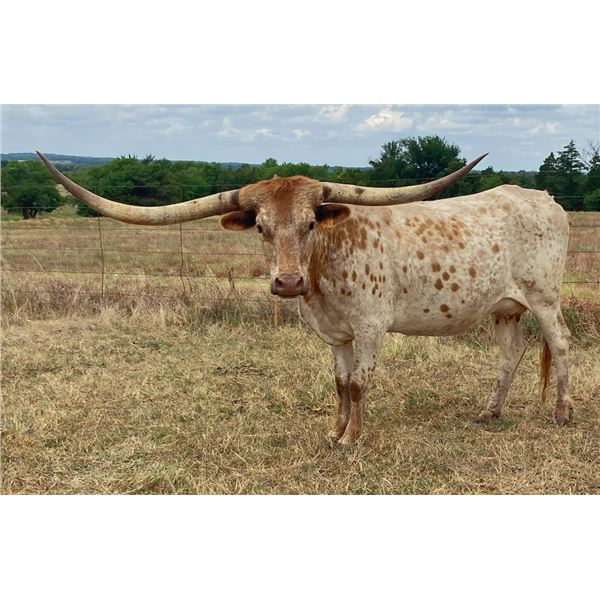 BAR F PACIFIC HAPPY SHOT