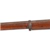 Image 10 : 1865 Tower Musket