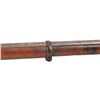 Image 5 : 1865 Tower Musket