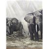 Image 3 : "Elephant Family" Original Oil Painting B. Adams