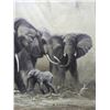 Image 4 : "Elephant Family" Original Oil Painting B. Adams