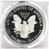 Image 4 : 2019 W American Silver Eagle PR69DCAM