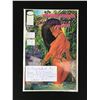 Image 1 : IMAGE COMICS NO.1 HOMAGE STUDIOS SWIMSUIT SPECIAL