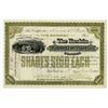 Image 1 : NY. Haskin Wood Vulcanizing Co., 1891, I/U Stock Certificate