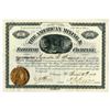 Image 1 : Colorado. American Mining & Smelting Co., 1883, I/U Stock Certificate
