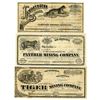 Image 1 : Nevada Stock Certificates Trio of Amazing Ferocious Feline Vignettes found on the Tiger, Leopard, an