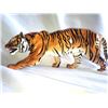 Image 1 : Royal Doulton Tiger B