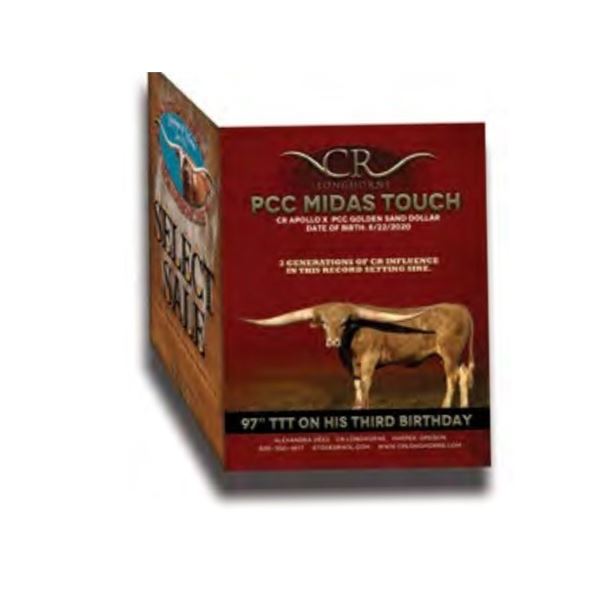 BACK COVER OF THE 2025 HORN SHOWCASE SALE CATALOG