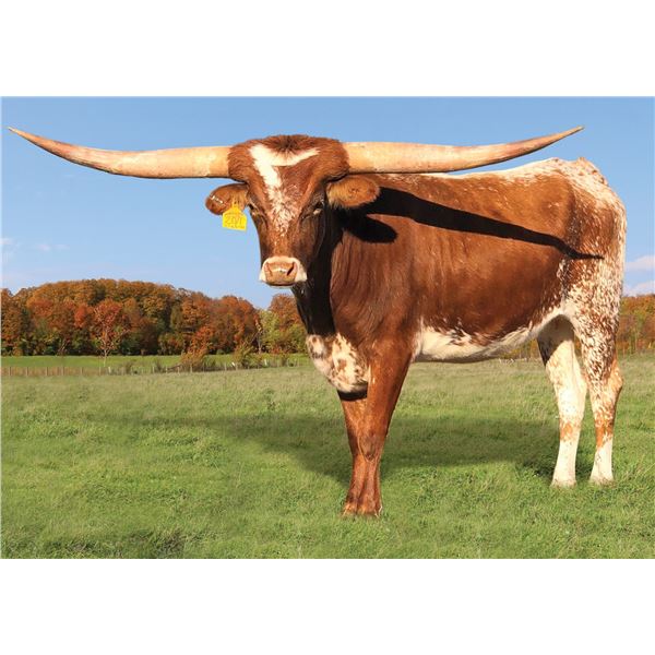 SCRATCH - HBR January