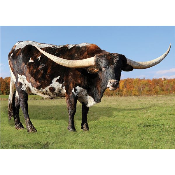 SEE4's Samantha Jean 3/28